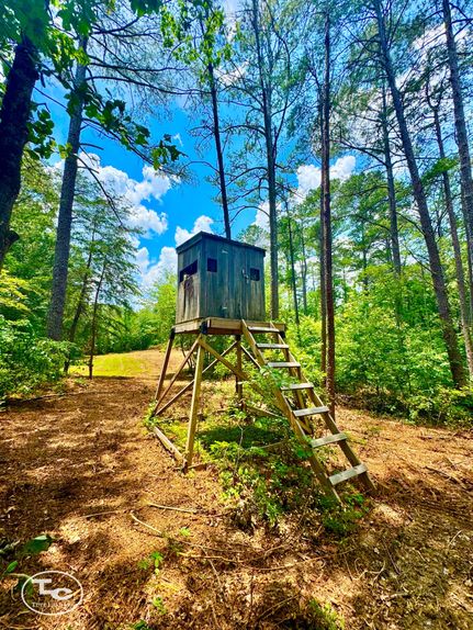 Timberland Property for sale in Winston County, Alabama