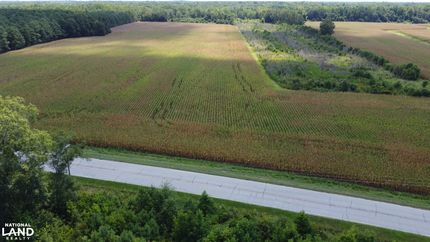 Hunting Land for sale in Clarendon County, South Carolina