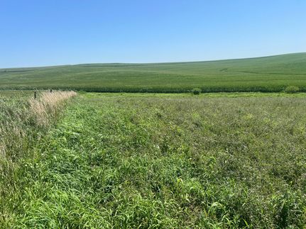 Property for sale in Audubon County, Iowa