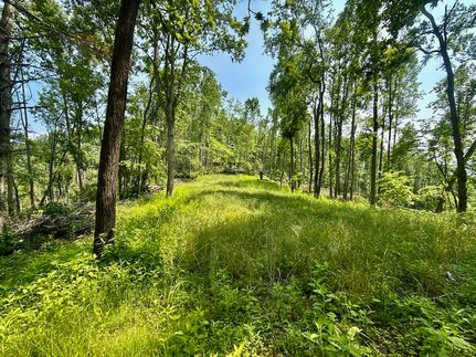 Property for sale in Johnson County, Tennessee