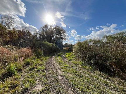 Property for sale in Franklin Parish, Louisiana