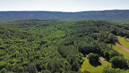 Hunting Land for sale in Walker County, Georgia