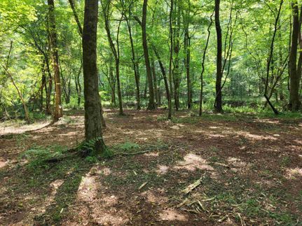Timberland Property for sale in Lee County, Alabama