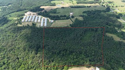 Timberland Property for sale in Marion County, Alabama