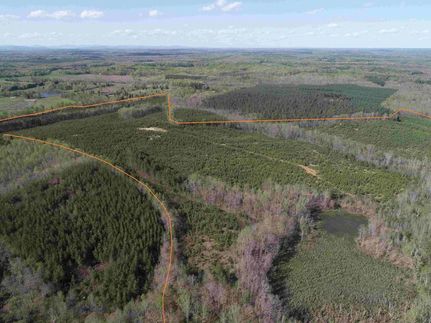 Timberland Property for sale in Buckingham County, Virginia