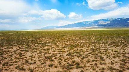 Property in Socorro County, New Mexico