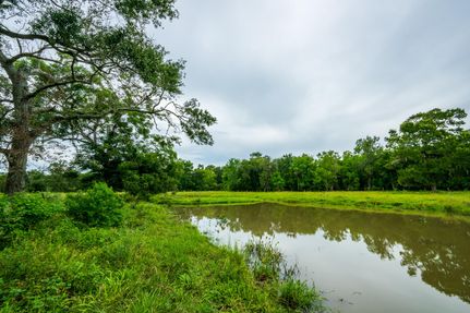 Hunting Land for sale in Brazoria County, Texas