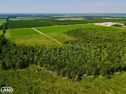 Property for sale in Escambia County, Alabama