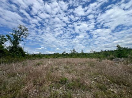 Undeveloped Land for sale in Wayne County, Mississippi