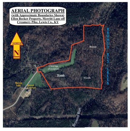 Timberland Property for sale in Lewis County, Kentucky