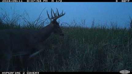 Property in Brown County, South Dakota