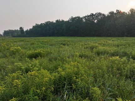 Property in Taylor County, Wisconsin