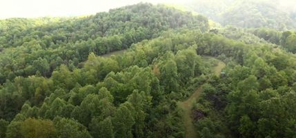 Property for sale in Unicoi County, Tennessee