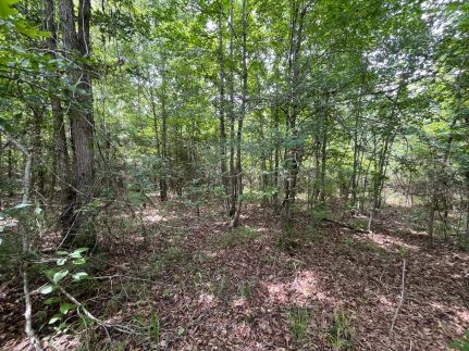 Property in Lincoln Parish, Louisiana