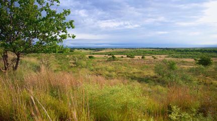 Property for sale in Greer County, Oklahoma