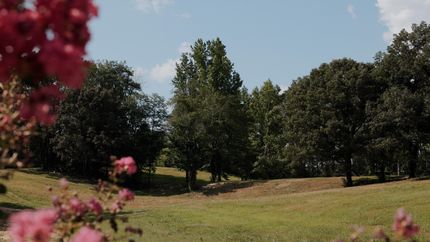 Property for sale in Hardeman County, Tennessee