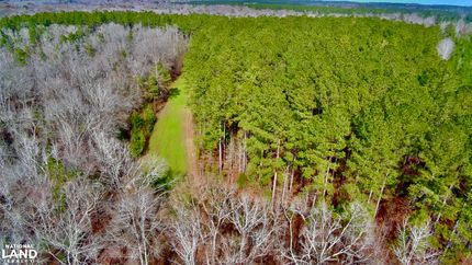 Timberland Property for sale in Barbour County, Alabama