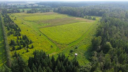 Timberland Property for sale in Langlade County, Wisconsin