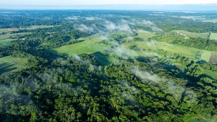 Property for sale in Fayette County, Illinois