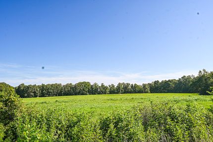 Property for sale in Webster County, Missouri