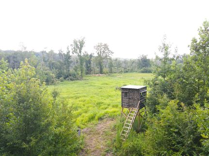 Property for sale in Rockingham County, North Carolina