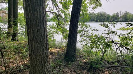 Property in Monroe County, Wisconsin