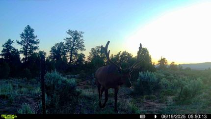 Property for sale in Rio Arriba County, New Mexico