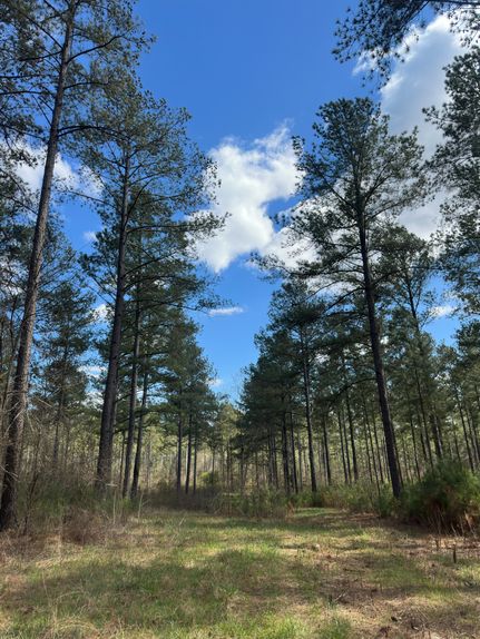 Property in Madison County, Georgia