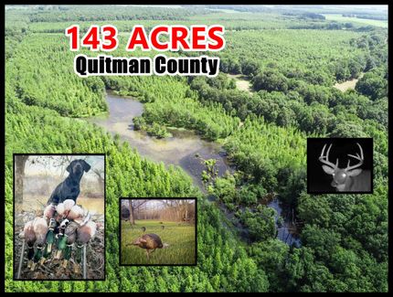 Riverfront Property for sale in Quitman County, Mississippi