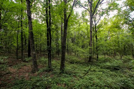 Property for sale in Van Buren County, Arkansas