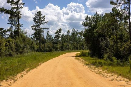 Undeveloped Land for sale in Jackson County, Florida