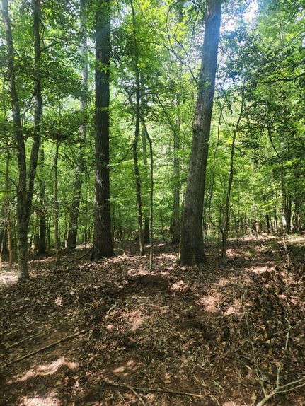 Property for sale in Monroe County, Georgia