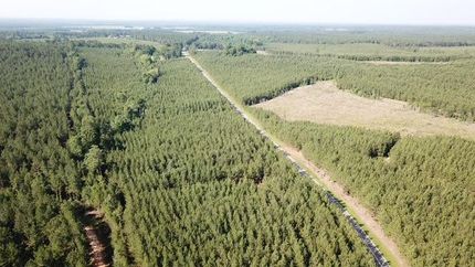 Timberland Property for sale in Richmond County, North Carolina