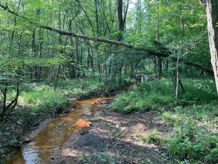 Horse Property for sale in Crenshaw County, Alabama