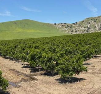 Property for sale in Tulare County, California