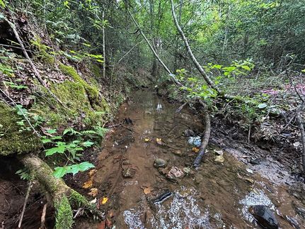 Property for sale in Talbot County, Georgia