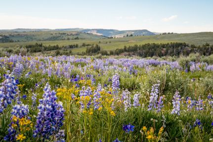Property in Big Horn County, Wyoming