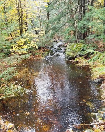 Property in Hancock County, Maine