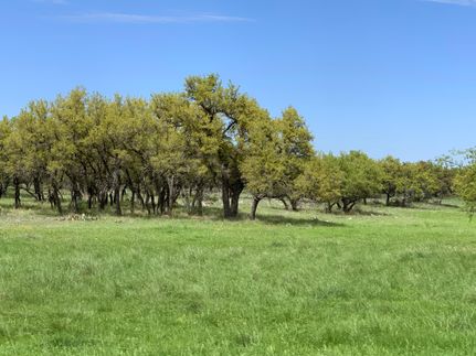 Hunting Land for sale in Menard County, Texas