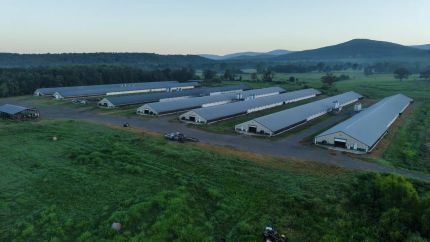 Property for sale in Polk County, Arkansas