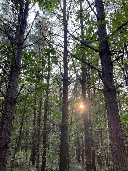 Property for sale in Hocking County, Ohio