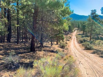 Undeveloped Land for sale in Klamath County, Oregon
