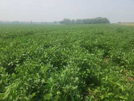 Property for sale in Minnehaha County, South Dakota