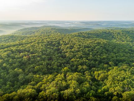 Property in Camden County, Missouri