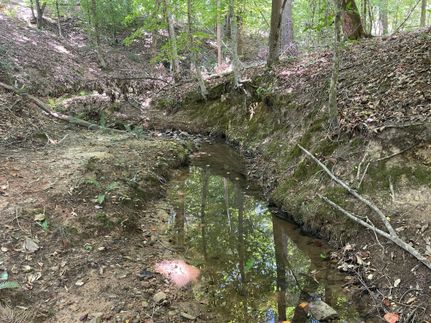 Timberland Property for sale in Wilkes County, Georgia