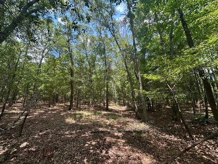 Property for sale in Talbot County, Georgia