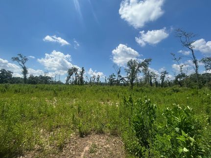 Horse Property for sale in Mobile County, Alabama