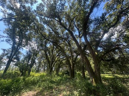 Property for sale in Mobile County, Alabama