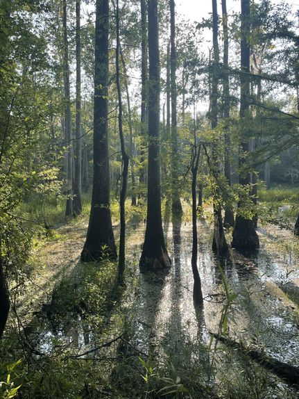 Property for sale in Escambia County, Alabama