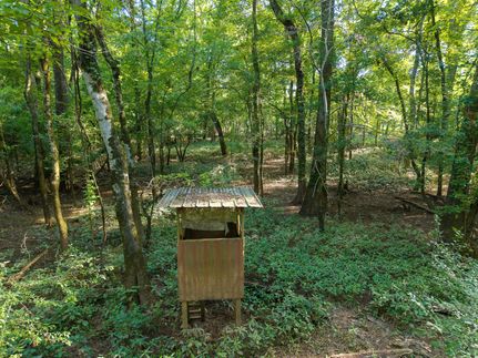 Property for sale in Pulaski County, Georgia